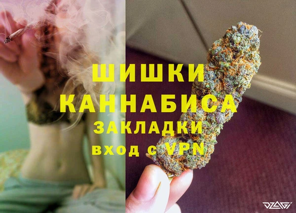 сатива Волоколамск
