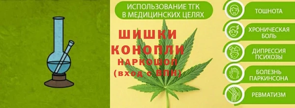 спайс Няндома