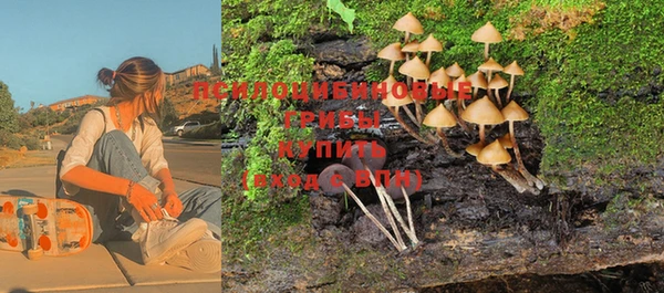 Альфа ПВП Волосово