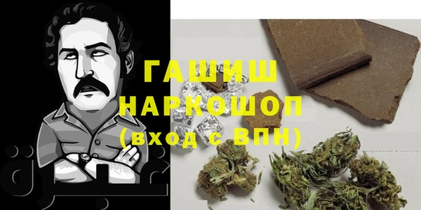 сатива Волоколамск